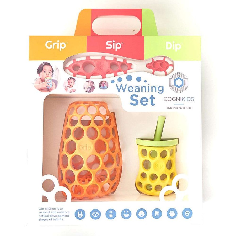 Feeding Cognikids Cups | Cognikids Weaning Set