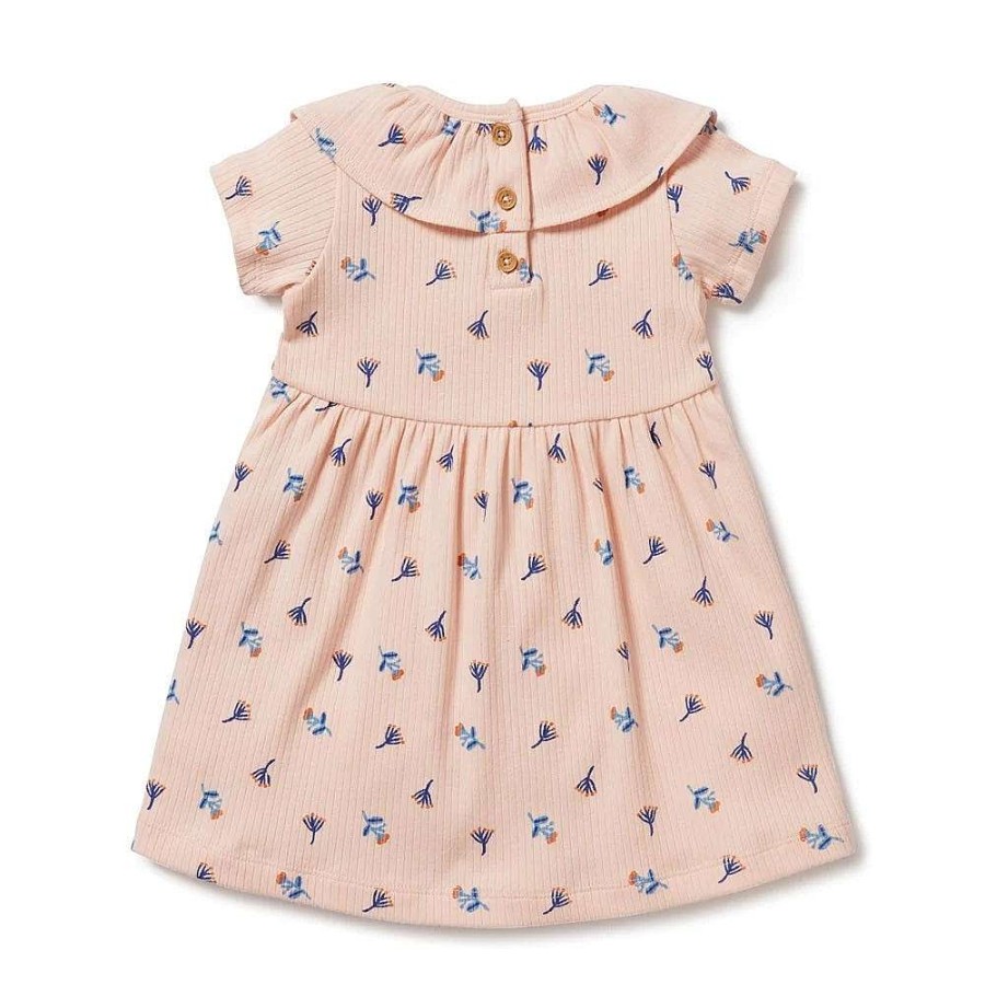 Babywear Wilson & Frenchy Baby Dresses | Wilson & Frenchy Little Flower Organic Rib Ruffle Dress