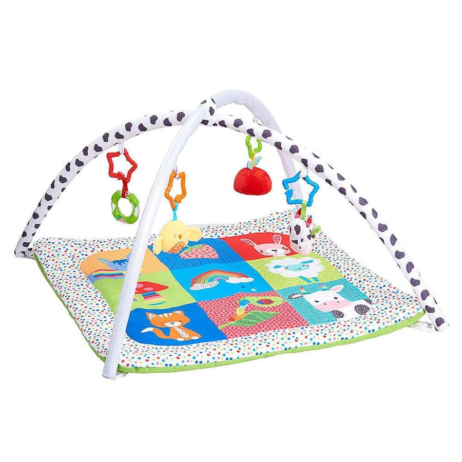 Playtime Early Learning Centre Playmats | Elc Blossom Farm Playmat & Arch